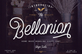 Bellonion: A Modern Script Font