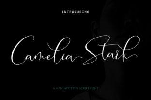 Camelia Stark: A Modern Script for Creative Projects