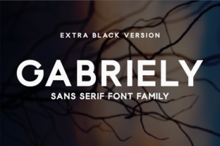 Gabriely Extra Black Font for Business