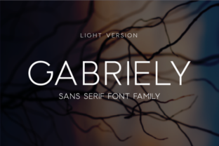 Gabriely Light Font Review