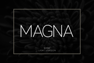 Magna Light: A Font for Business Clarity