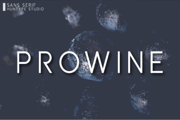 Prowine: A Modern Font for Business Success