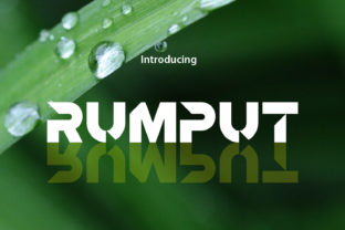 Rumput: A Modern Sans Serif for Editorial Design