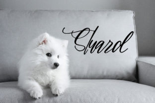 Stuard: A Charming Script Font